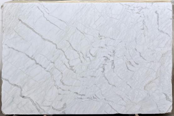 Venatino White
