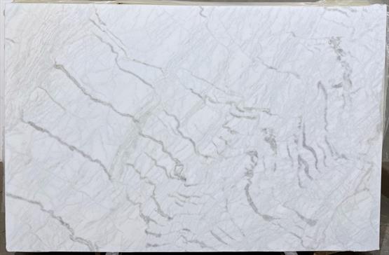 Venatino White