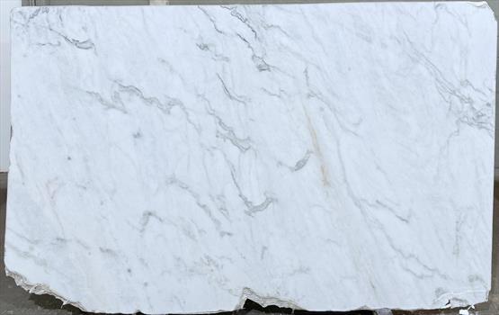 Venatino White