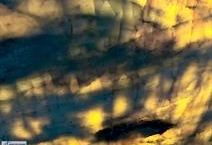 Matarazzo Gold